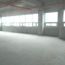 도안북로93번길 이미지