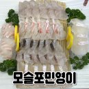 최남단해안로 | 가성비, 맛 다잡은 모슬포 회 맛집 #모슬포민영이 내돈내산 존맛 후기