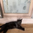 숨은진주 | 가을은 말이 아니라 제가 살이 찌는 계절인 것 같아요