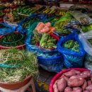 제일야채상회 이미지