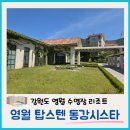 영월 인 더 나이트 | [영월 반값여행] 탑스텐리조트 동강시스타 디럭스룸, 수영장, 야외 바베큐, 조식 후기