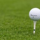 골프앤조이 이미지