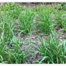 미수농장 이미지