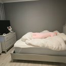 DN공인중개사사무소 이미지