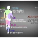 미네랄쌀 이미지