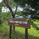 롤캐빈 | [경남 하동 차밭] 한밭제다 티크닉 후기(내돈내산, 하동반값여행O)