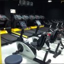 바디퍼펙트 이미지