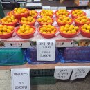 연아청과