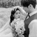 (주)플라잉 이미지