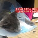 로하스일산병원 이미지