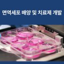 줄기세포주사후기 암면역치료제 개발도 함께하는