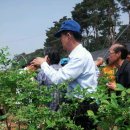 이평농장 이미지