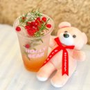 할리베어 이미지