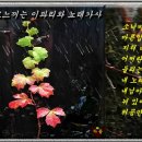 이파리 이미지