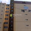 갈현로29길 Daum카페