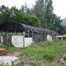 두환농장 이미지