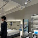 채신식탁 | [침대] 27평 신혼집 내돈내산 가구 추천 (씰리_에일레 다이아몬드 칼킹_슈플레 프레임, 에이스)