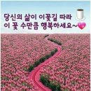 아낌없이 주는 행복 이미지