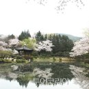 (주)천년코리아 이미지