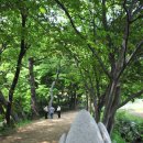 지내마을길 이미지