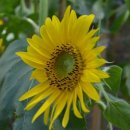 풍경이 머무는 곳 이미지