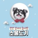 소울도기 이미지