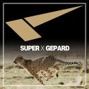 190001 | [국내운동화] 슈파드 아틀란 SUPARD ATLAN 출시