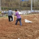 정만목장 이미지