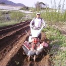 동혜농장 이미지