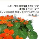 내가 하나님의 성령을 힘입어(마태복음 12장) 이미지