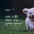 고고씽 네이버블로그