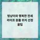 행복한 멍냥이 이미지