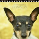 코코목욕 이미지