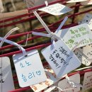 11650-17-2-6 | 🌿 서울 양재천_ 아트살롱 봄마켓 후기🌤｜양재천에서 만난 작은 축제 (푸드트럭·플리마켓·물멍도서관까지)