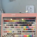 래스팅네일 Lasting nail