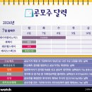에이치엘솔루션