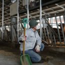 연한우농장 이미지