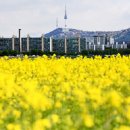 도구머리근린공원 입구 | 서울시 봄꽃길 175선 예상 개화시기 구간 길이 정보
