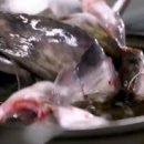 진남매운탕 이미지