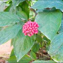 용소골농장 이미지