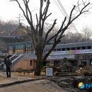 대성사목불좌상 이미지