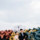 푸른숲에프씨 | 강릉웨딩스냅 비 오는 날 촬영 후기 | 야외웨딩스냅은 가능할까?