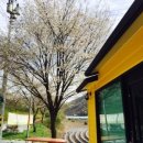 봉선농장 이미지