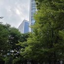 길주공원 | 7호선 8억대 국평 준신축 대단지 브랜드 아파트: 신중동역 부천 두산위브트레지움 2단지 임장기 😎