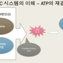 시스템 짐 이미지