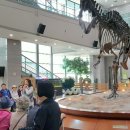 서대문자연사박물관 이미지