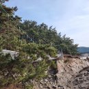 닭섬목장 이미지