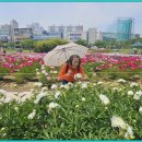 태화강국가정원 이미지