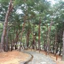 세종대왕태실 주차장 | [경북] 성주 세종대왕자태실 / 단종 · 세조 · 금성대군 태실이 있는 곳