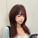 다겸